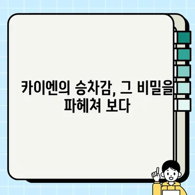 포르쉐 카이엔, 승차감의 비밀| PDCC 기술의 매력 | 포르쉐 카이엔, 승차감, PDCC, 주행 성능