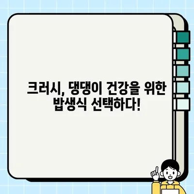 "나혼산" 크러시견의 밥생식 고기 레시피| 나만의 애완동물 건강 식단 만들기 | 크러시, 밥생식, 애견, 나혼산, 건강, 레시피, 어느 금요일의 버라이어티