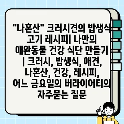 "나혼산" 크러시견의 밥생식 고기 레시피| 나만의 애완동물 건강 식단 만들기 | 크러시, 밥생식, 애견, 나혼산, 건강, 레시피, 어느 금요일의 버라이어티