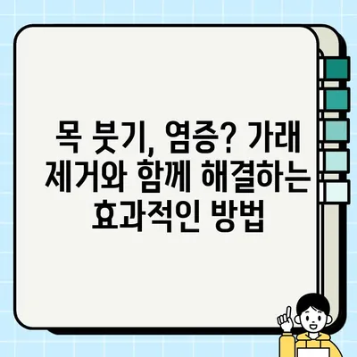 가래 싹 없애는 꿀팁! 집에서 쉽게 따라 하는 효과적인 5가지 방법 | 가래, 기침, 천연 치료법, 목 붓기, 염증