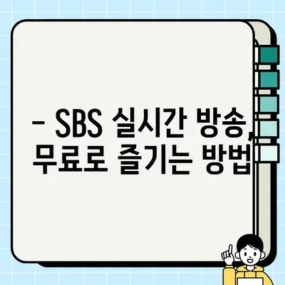 SBS 온에어 실시간 무료로 보기, 생방송 시청 방법 총정리 | SBS, 실시간 방송, 무료 시청