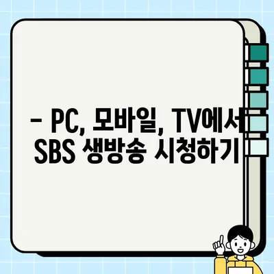 SBS 온에어 실시간 무료로 보기, 생방송 시청 방법 총정리 | SBS, 실시간 방송, 무료 시청