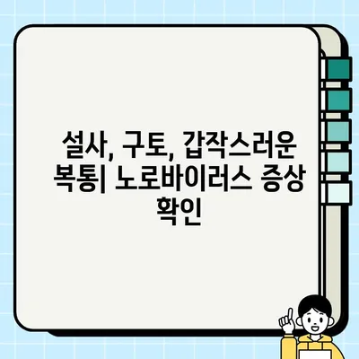 노로바이러스 증상, 대처법 & 예방법 완벽 가이드 | 식중독, 설사, 구토, 위생