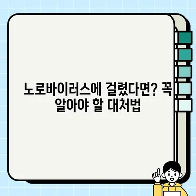 노로바이러스 증상, 대처법 & 예방법 완벽 가이드 | 식중독, 설사, 구토, 위생