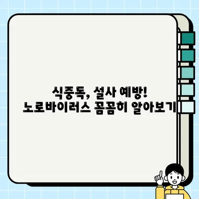 노로바이러스 증상, 대처법 & 예방법 완벽 가이드 | 식중독, 설사, 구토, 위생