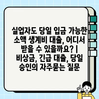 실업자도 당일 입금 가능한 소액 생계비 대출, 어디서 받을 수 있을까요? | 비상금, 긴급 대출, 당일 승인