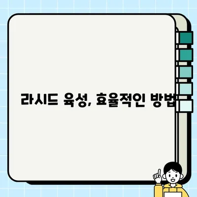 창세기전2| 왕국의 유산, 라시드 노가다 육성법 완벽 가이드 | 라시드, 육성, 노가다, 공략, 팁