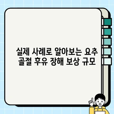 요추 1번 척추 골절 후유 장해 보상, 실제 사례로 알아보는 보상 팁 | 후유 장해, 보상 규모, 손해 배상, 전문 변호사