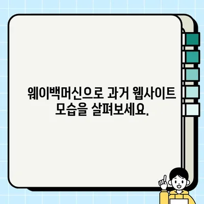도메인 구매 전 필수 체크! DA 점수와 사용 이력 확인 방법| 웨이백머신 활용 가이드 | 도메인 분석, 웨이백머신, SEO