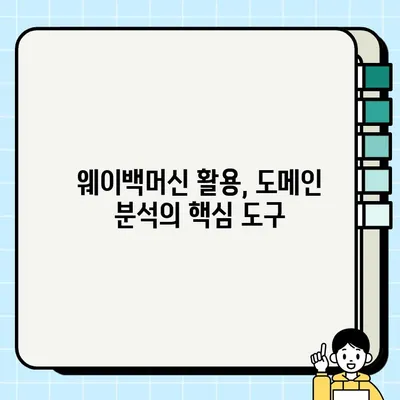 도메인 구매 전 필수 체크! DA 점수와 사용 이력 확인 방법| 웨이백머신 활용 가이드 | 도메인 분석, 웨이백머신, SEO