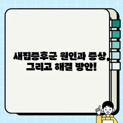 새집증후군 해결, 건강한 실내 환경 조성 전략| 5가지 필수 체크리스트 | 새집증후군, 실내공기정화, 건강, 환경