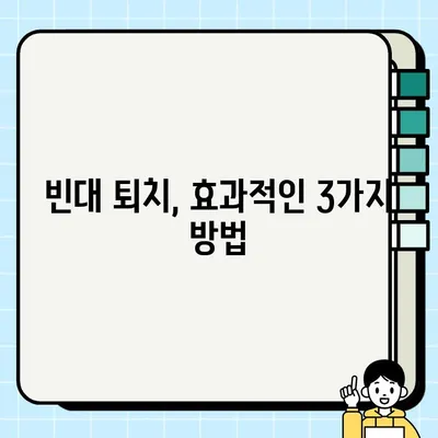 빈대, 이제 걱정 끝! 빈대 확인법부터 퇴치까지 완벽 가이드 | 빈대 원인, 퇴치약, 살충제, 3가지 퇴치법