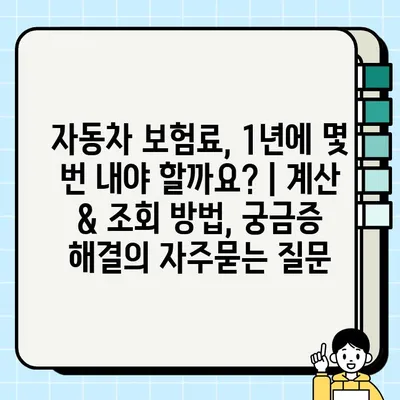 자동차 보험료, 1년에 몇 번 내야 할까요? | 계산 & 조회 방법, 궁금증 해결