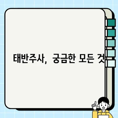 태반주사 가격, 효능, 주기, 주의사항 총정리 | 피부 미용, 건강 관리, 부작용