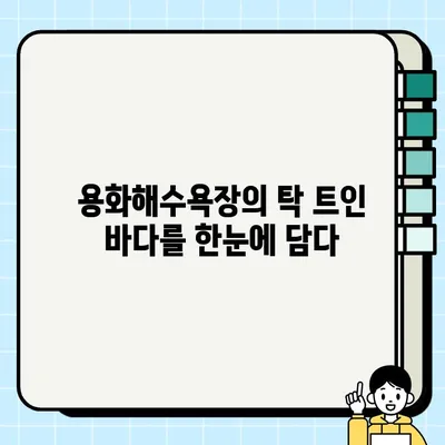 삼척 용화해수욕장 레일바이크 뷰 카페 