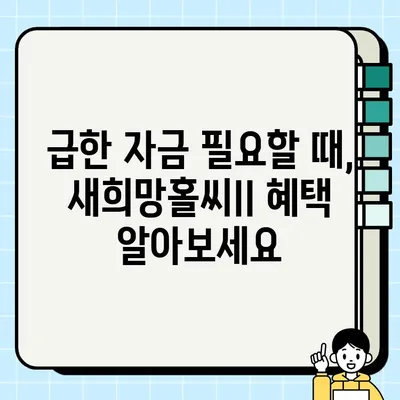 저신용자도 OK! NH농협 모바일 새희망홀씨II 대출 혜택 & 신청 방법 (최대 3,500만원) | 서민금융, 구제대출, 농협
