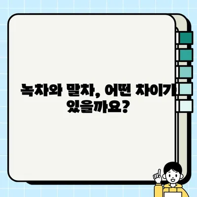 녹차 vs 말차| 카페인 함량, 섭취 방법, 주의사항 비교 가이드 | 녹차, 말차, 카페인, 건강, 섭취 팁