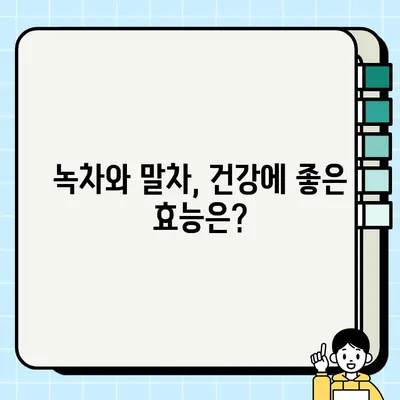 녹차 vs 말차| 카페인 함량, 섭취 방법, 주의사항 비교 가이드 | 녹차, 말차, 카페인, 건강, 섭취 팁