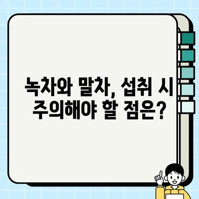 녹차 vs 말차| 카페인 함량, 섭취 방법, 주의사항 비교 가이드 | 녹차, 말차, 카페인, 건강, 섭취 팁