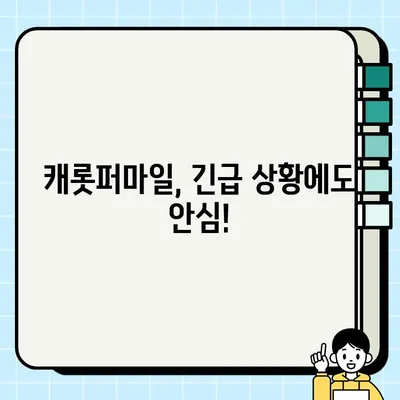 캐롯 긴급출동 전화번호 & 고장출동 서비스 상세 안내 | 캐롯퍼마일 자동차보험, 긴급상황 대처, 보험 혜택