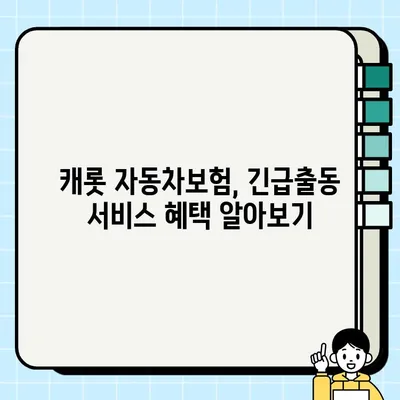캐롯 긴급출동 전화번호 & 고장출동 서비스 상세 안내 | 캐롯퍼마일 자동차보험, 긴급상황 대처, 보험 혜택