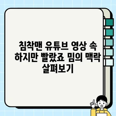 "하지만 빨랐죠" 밈| 뜻, 유래, 침착맨 유튜브 영상 속 맥락 | 밈, 유행어, 침착맨, 유튜브