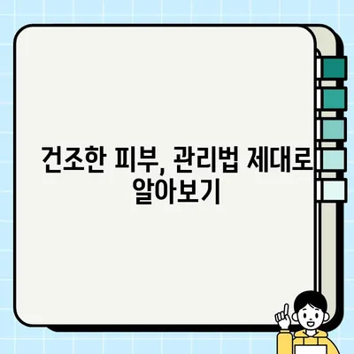 건조한 피부, 이제 걱정 끝! 💧  피부 건조증 원인과 예방 관리법 | 건조한 피부, 보습, 겨울철 피부 관리, 건강 팁