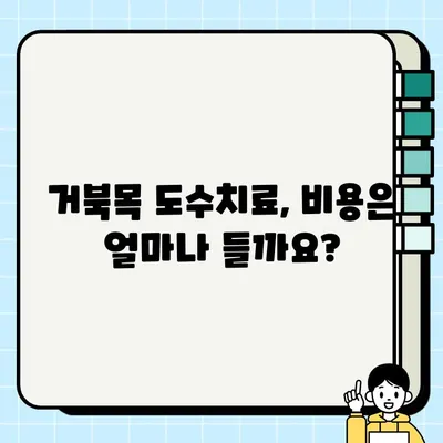 거북목, 도수치료로 해결하세요! | 비용, 효과, 치료 과정, 주의 사항