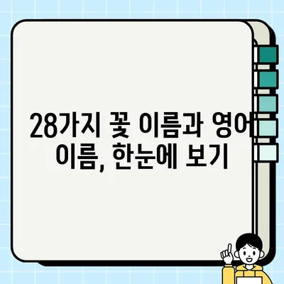 꽃말이 예쁜 꽃 28가지| 영어 이름과 함께 만나보세요! | 꽃 선물, 꽃말, 꽃 이름, 의미