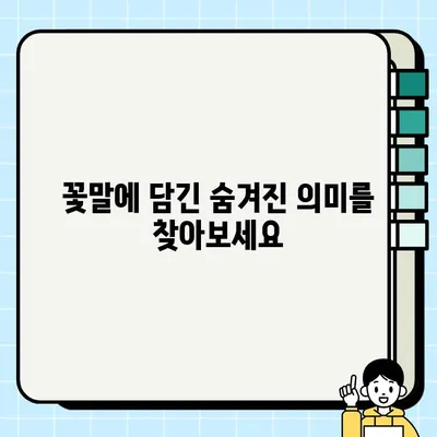 꽃말이 예쁜 꽃 28가지| 영어 이름과 함께 만나보세요! | 꽃 선물, 꽃말, 꽃 이름, 의미