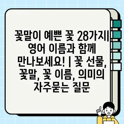 꽃말이 예쁜 꽃 28가지| 영어 이름과 함께 만나보세요! | 꽃 선물, 꽃말, 꽃 이름, 의미