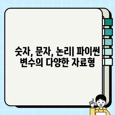 파이썬 변수 마스터하기| 자료형, 타입 확인 및 변환 (숫자, 문자, 논리) | 파이썬 기초, 변수 사용법, 자료형 이해