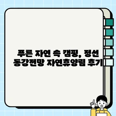 정선 동강전망자연휴양림 캠핑 후기| 317번째 캠핑, 뷰맛집 인증! | 정선 캠핑, 캠핑장 추천, 전망 좋은 캠핑