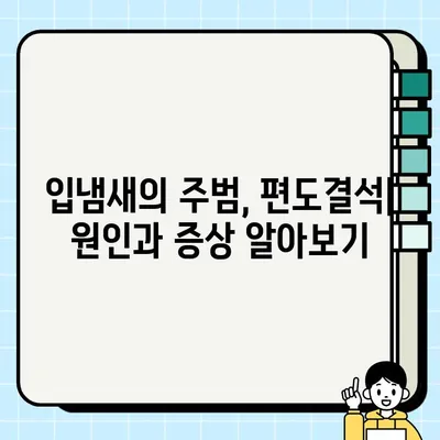 입냄새 원인, 편도결석 흡입기로 해결 가능할까? | 입냄새, 편도결석, 흡입기, 관리법, 제거법