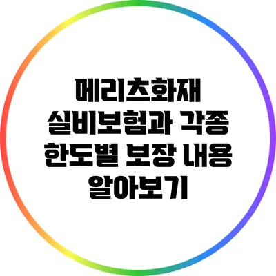 메리츠화재 실비보험과 각종 한도별 보장 내용 알아보기