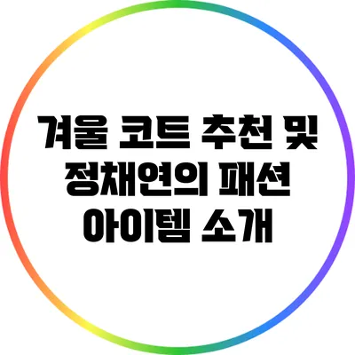 겨울 코트 추천 및 정채연의 패션 아이템 소개