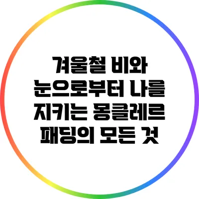 겨울철 비와 눈으로부터 나를 지키는 몽클레르 패딩의 모든 것