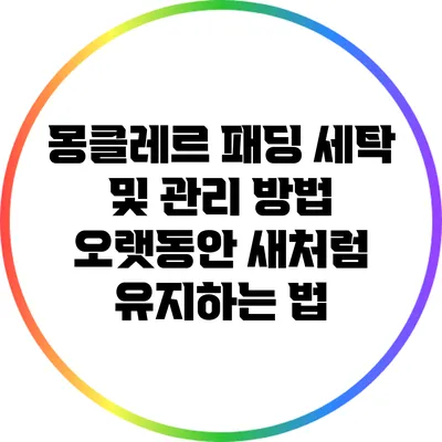 몽클레르 패딩 세탁 및 관리 방법: 오랫동안 새처럼 유지하는 법