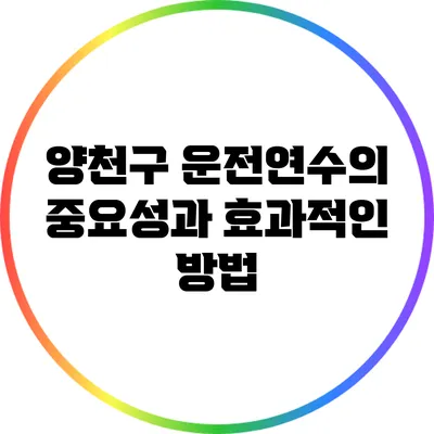양천구 운전연수의 중요성과 효과적인 방법
