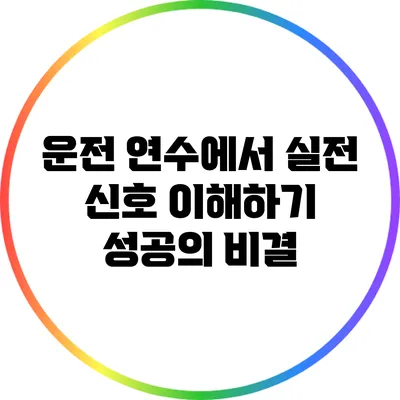 운전 연수에서 실전 신호 이해하기: 성공의 비결