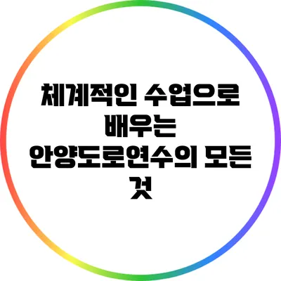 체계적인 수업으로 배우는 안양도로연수의 모든 것