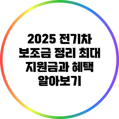 2025 전기차 보조금 정리: 최대 지원금과 혜택 알아보기