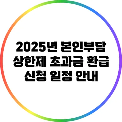 2025년 본인부담 상한제 초과금 환급 신청 일정 안내