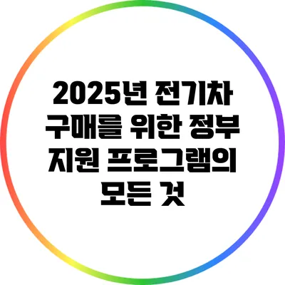 2025년 전기차 구매를 위한 정부 지원 프로그램의 모든 것