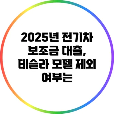 2025년 전기차 보조금 대출, 테슬라 모델 제외 여부는?
