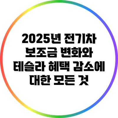 2025년 전기차 보조금 변화와 테슬라 혜택 감소에 대한 모든 것