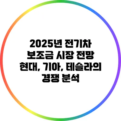 2025년 전기차 보조금 시장 전망: 현대, 기아, 테슬라의 경쟁 분석