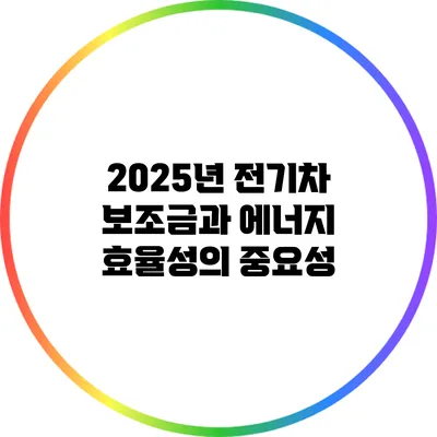 2025년 전기차 보조금과 에너지 효율성의 중요성