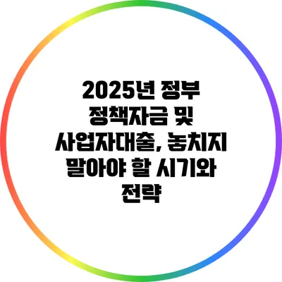 2025년 정부 정책자금 및 사업자대출, 놓치지 말아야 할 시기와 전략