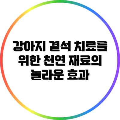 강아지 결석 치료를 위한 천연 재료의 놀라운 효과